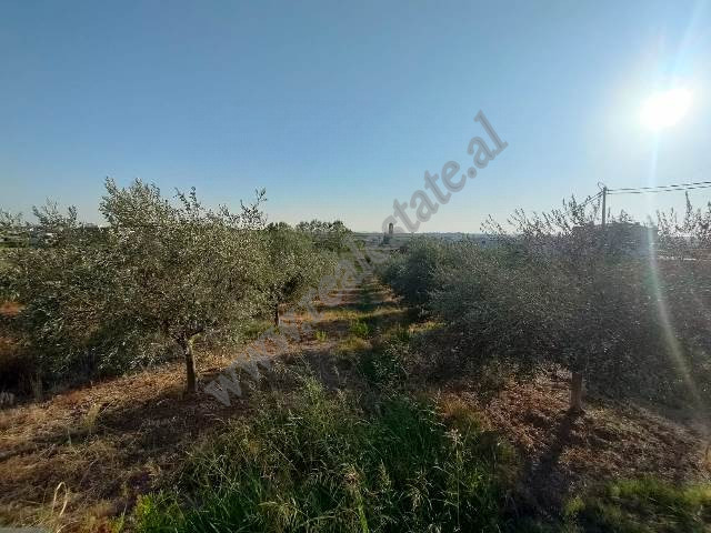 Land for sale in Shkalle area in Durres, Albania